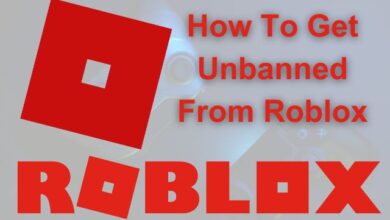 How To Get Unbanned From Roblox
