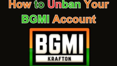 How to Unban Your BGMI Account