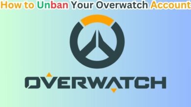 How to Unban Overwatch Account