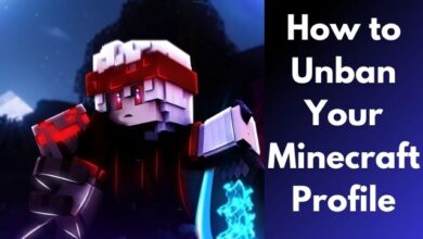 Unban Your Minecraft Profile
