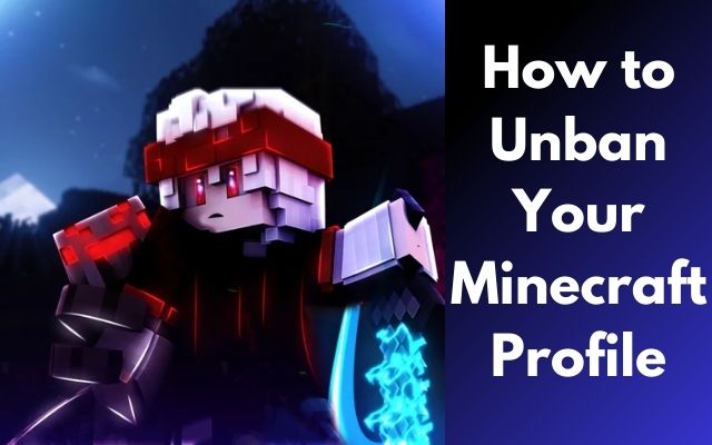 Unban Your Minecraft Profile