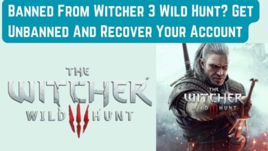 Banned From Witcher 3 Wild Hunt