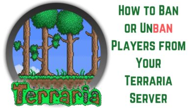 How to Ban or Unban Players from Your Terraria Server