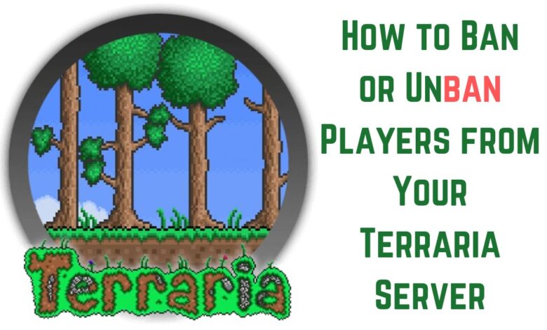 How to Ban or Unban Players from Your Terraria Server