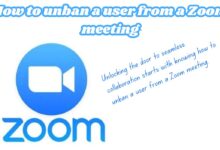 How to unban a user from a Zoom meeting