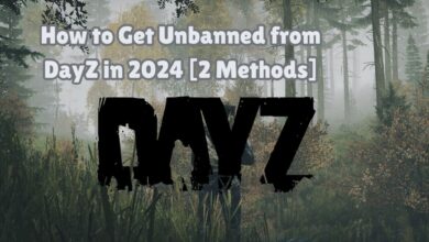 How to Get Unbanned from DayZ in 2024