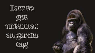 How to get unbanned on gorilla tag