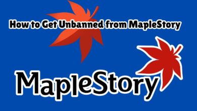 How to Get Unbanned from MapleStory